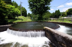 通潤用水の円形分水。内側の円筒からあふれた水が、潤す水田の面積に応じて仕切られた外側の円筒を経て、各方面に延びる用水路に送水される仕組みです。